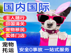 揭阳航空空运国际宠物托运 【国
